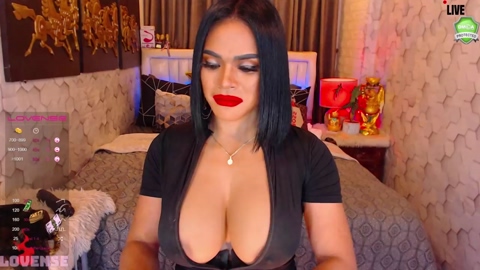 urlovelytransx  28-05-2022